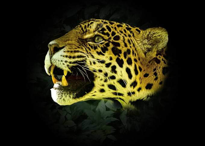 Jaguar portrait