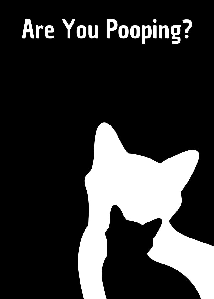 Cats Animals Are You Poopi