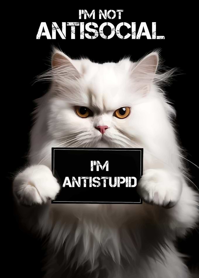 Antisocial Cute Cat