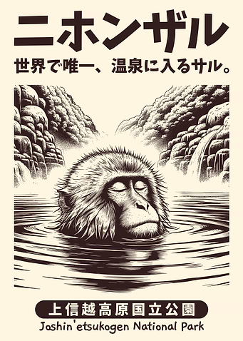 Japanese Macaque Monkey