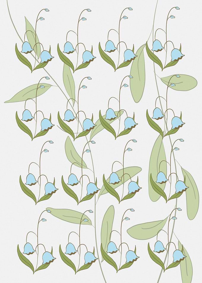 lily flower