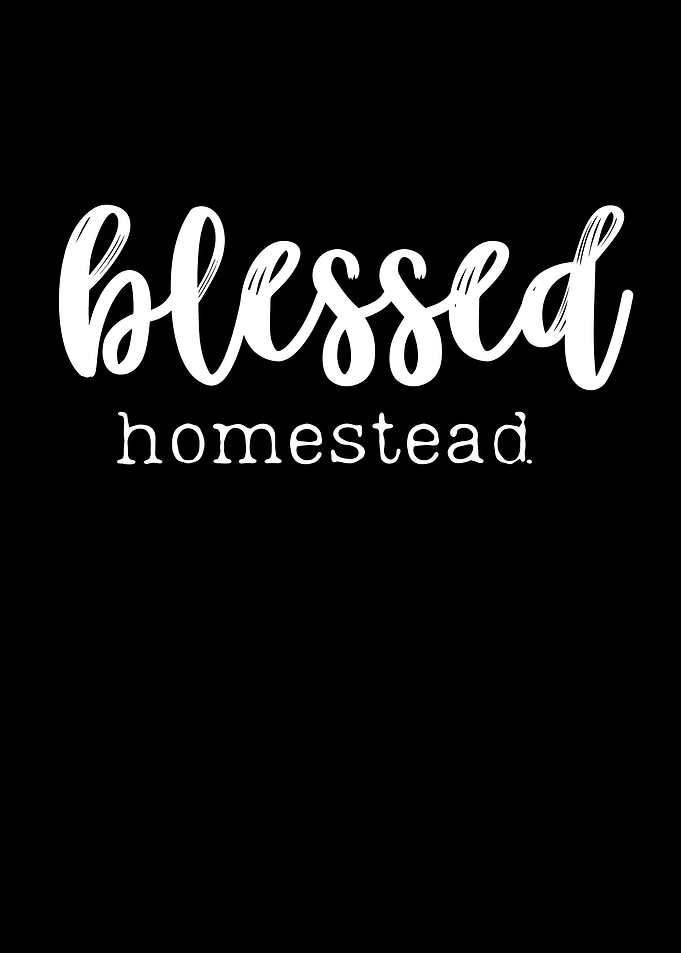 blessed homestead