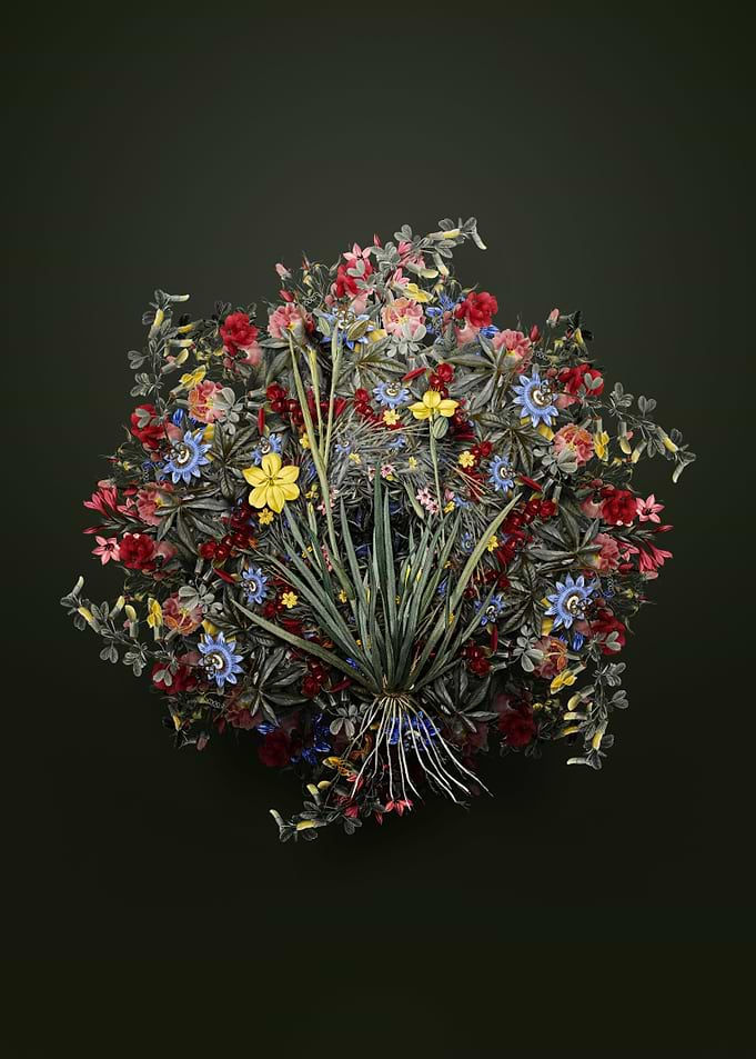 Yellow Eyed Grass Wreath