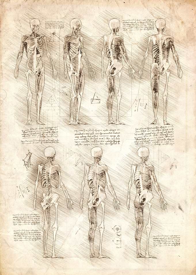Human View