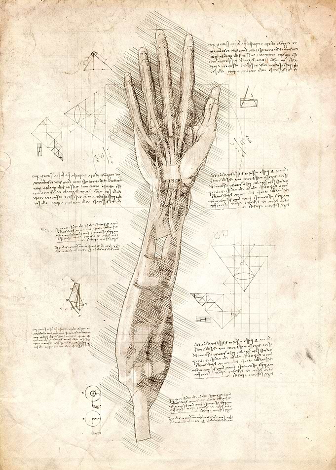 Human Arm