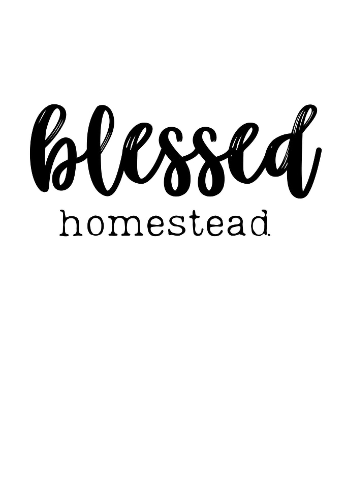 blessed homestead