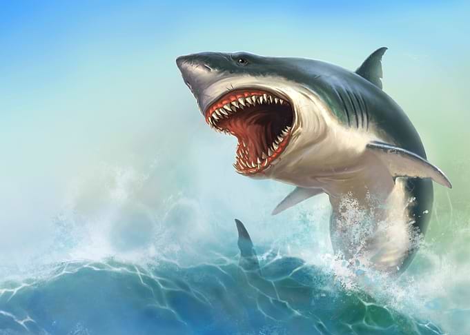Angry Shark