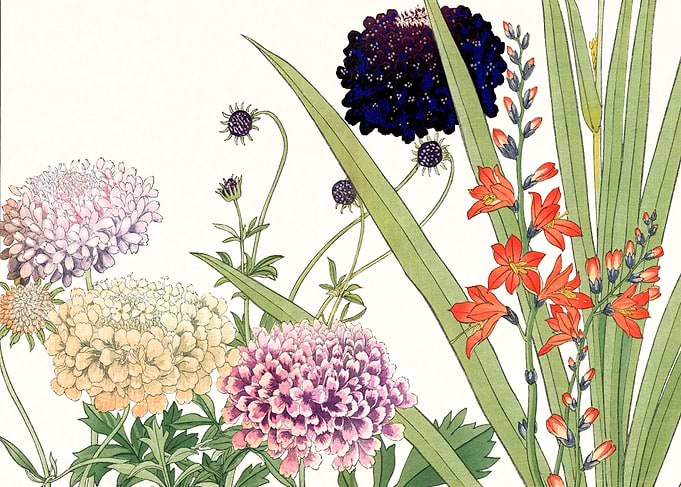 Vintage Beauty flowers