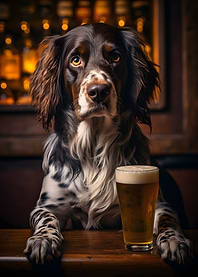 Lets enjoy a cold beer