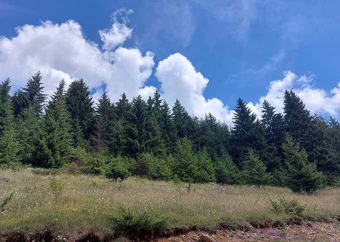 Carpathians Romania