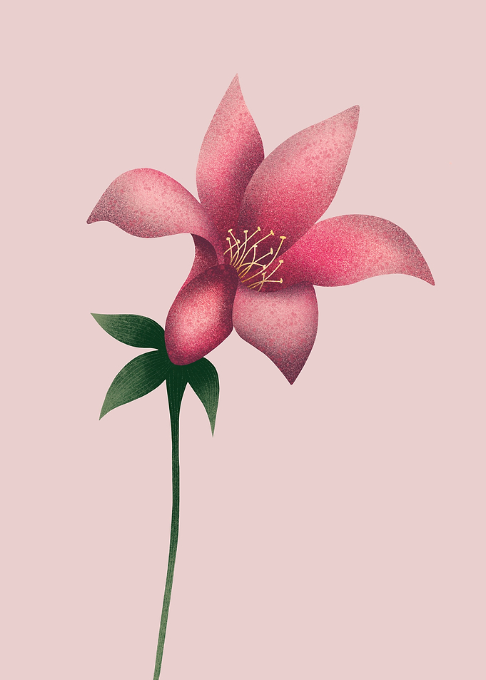 Grainy lily