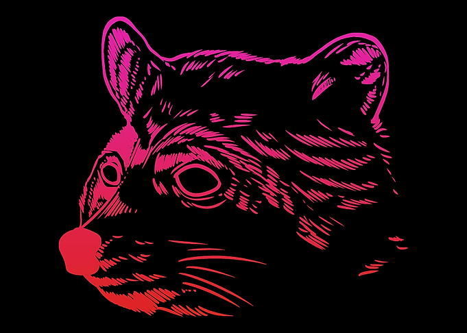 Colorful Racoon Zoophilist