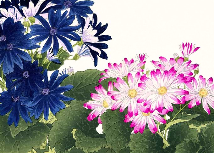 Vintage Japanese Flowers