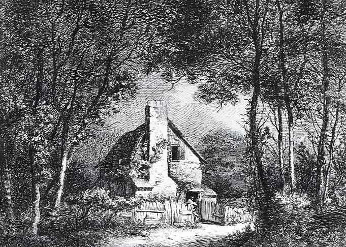 Cottage in the forest