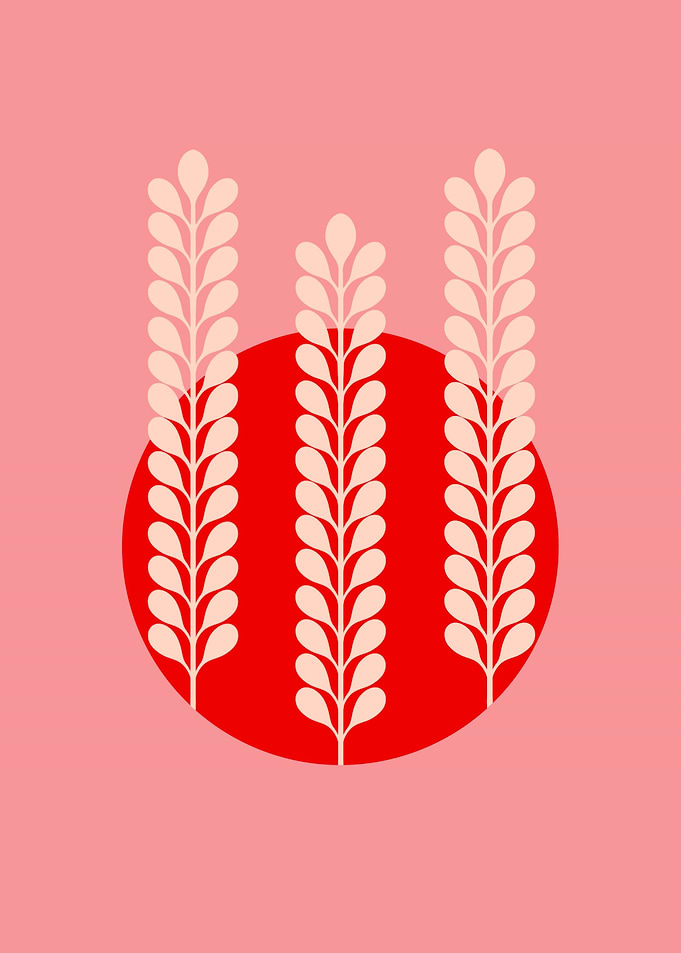 Grain and red sunset