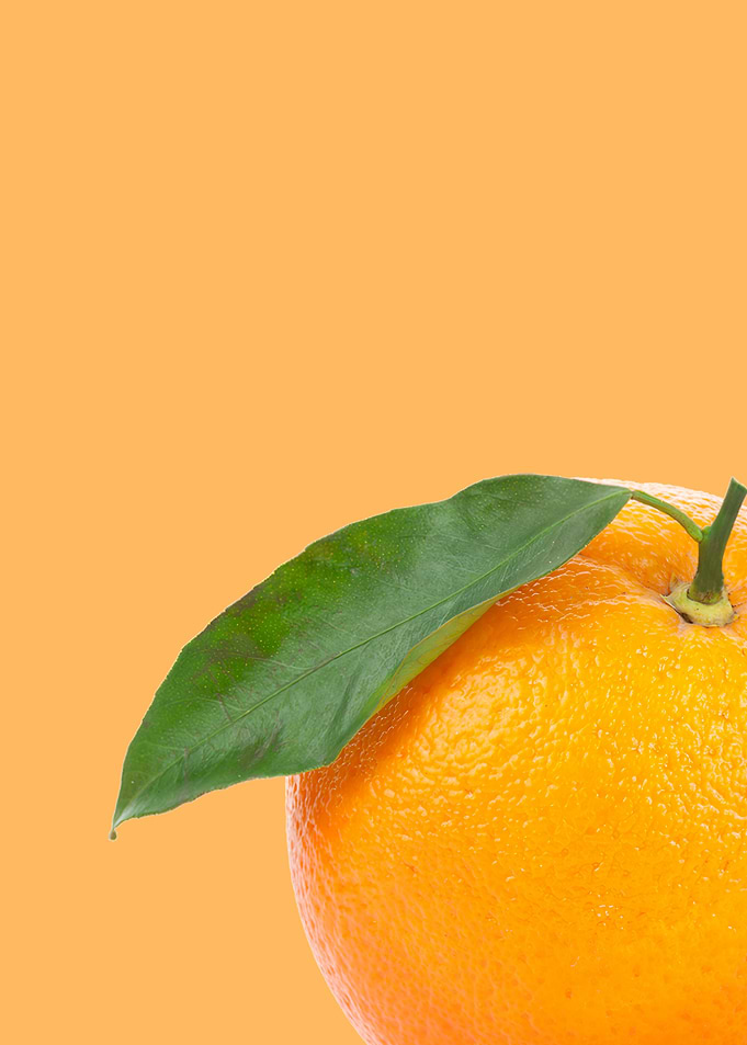 fresh orange pop art
