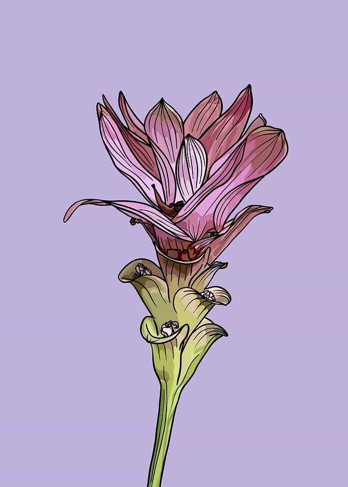 Lonely flower