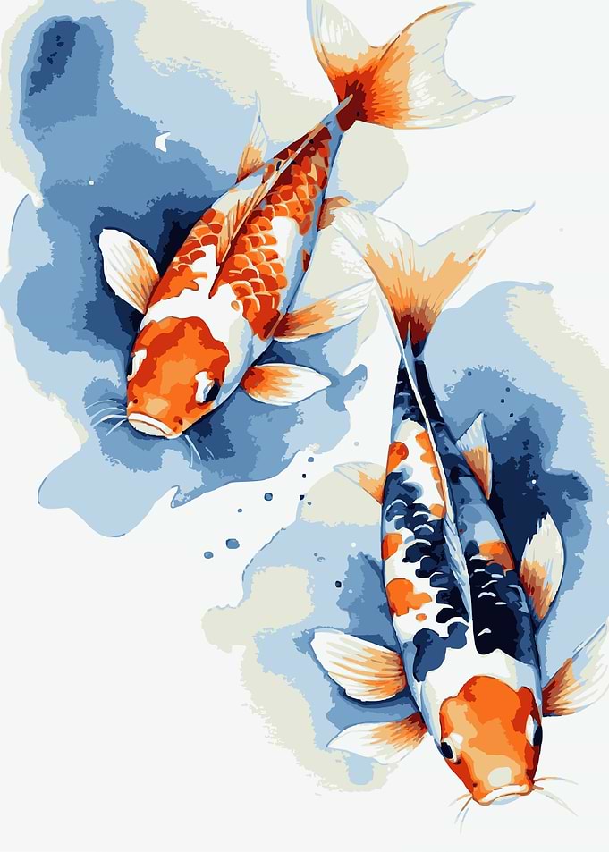 Koi Fish 3