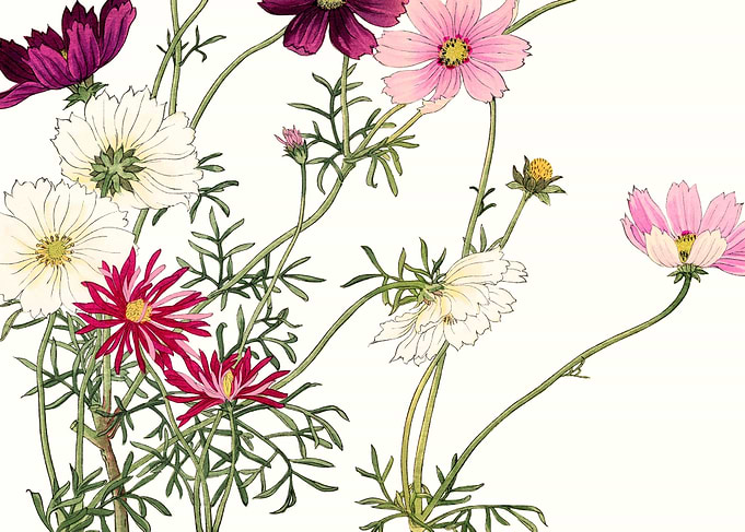 Japanese Flowers Vintage
