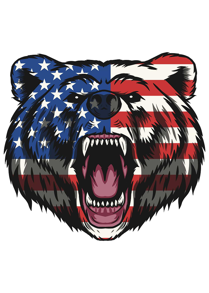 Bear American Flag Art