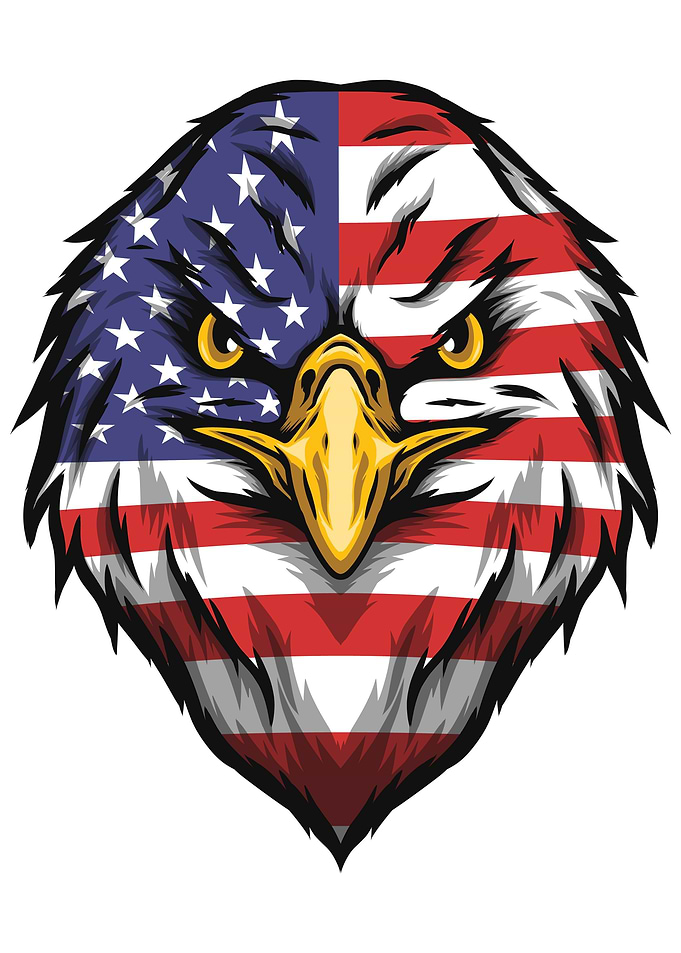 Eagle American Flag