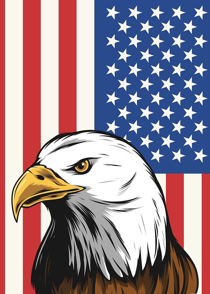American Flag Eagle Art
