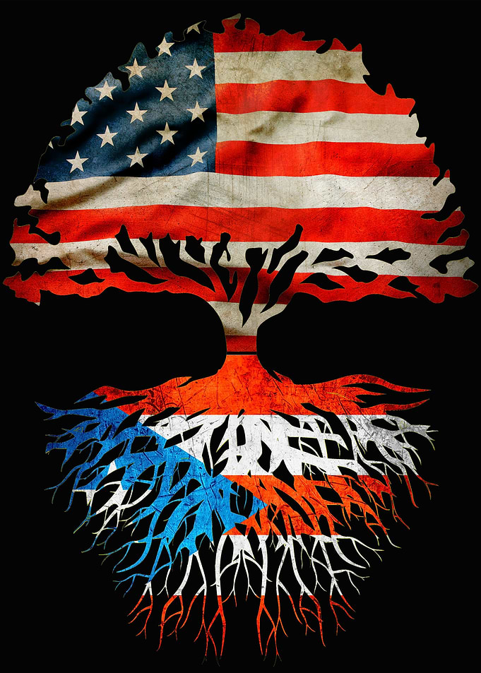 Puertorican roots heritage