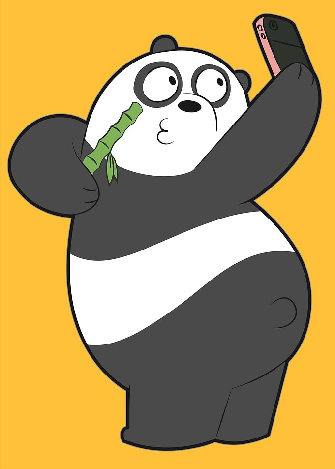 Funny Panda