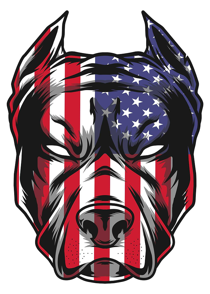 Dog American Flag Art