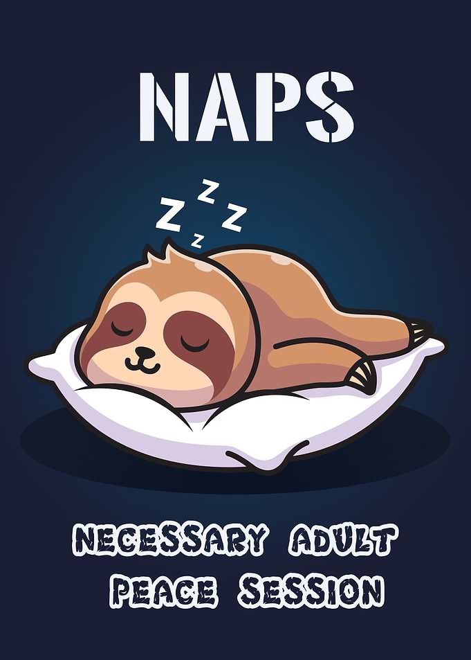 Sloths nap necessary sleep