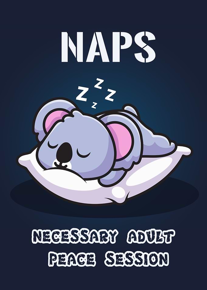 Koala naps necessary sleep