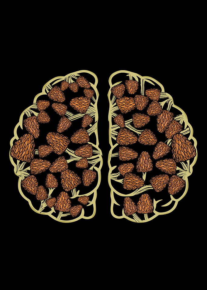 Morel Mushroom Lover Gift