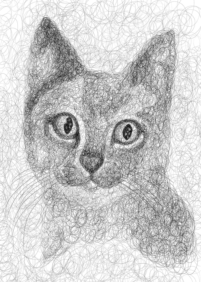 Scribble art cat torso