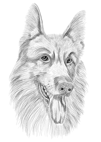 Scribble art dog drawing