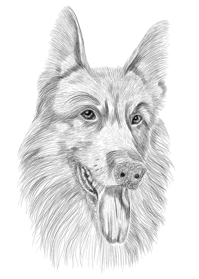 Scribble art dog drawing