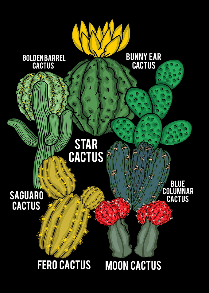 Cactus Lover Succulents