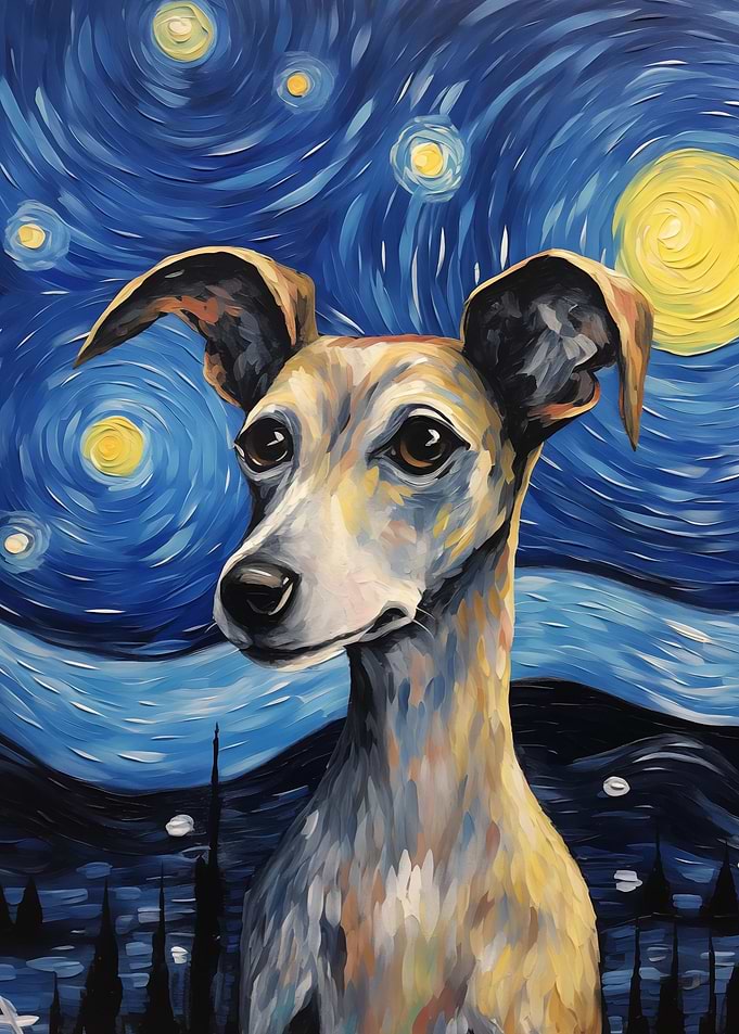 Italian Greyhound Dog