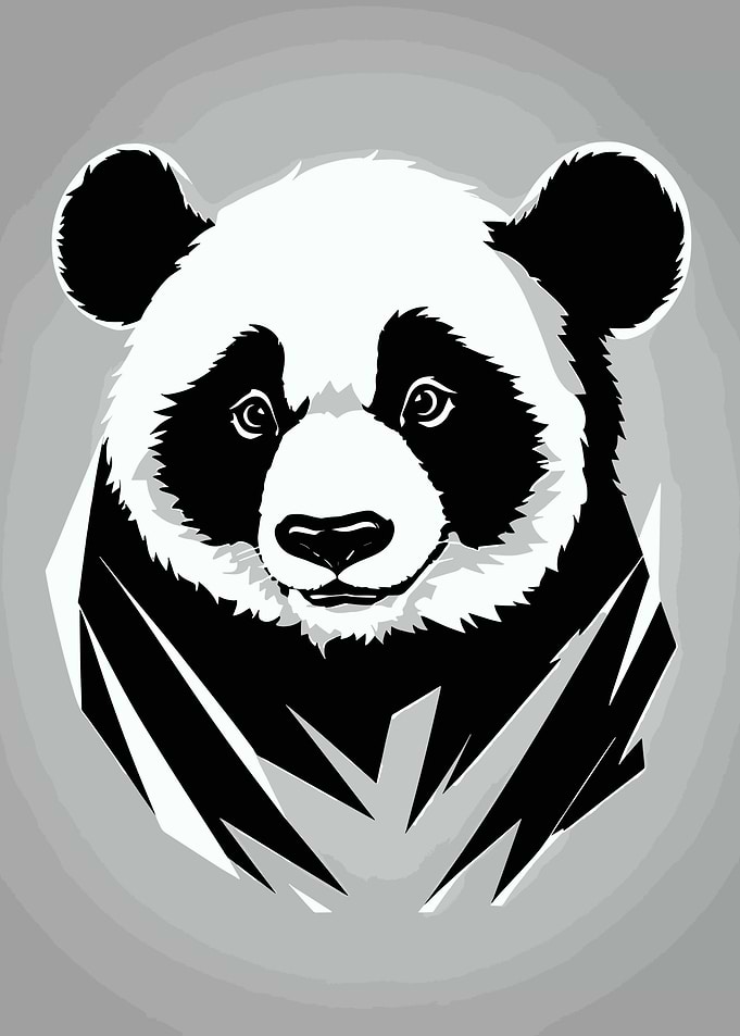 Cute Panda
