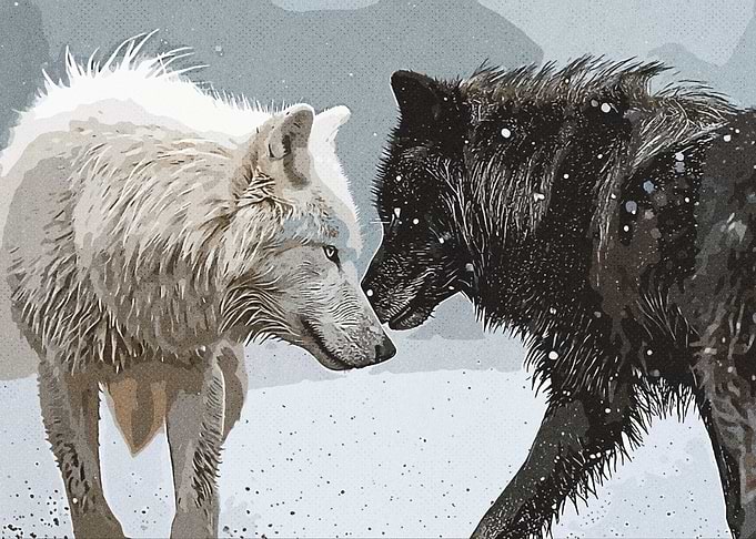Black White Wolf Vintage