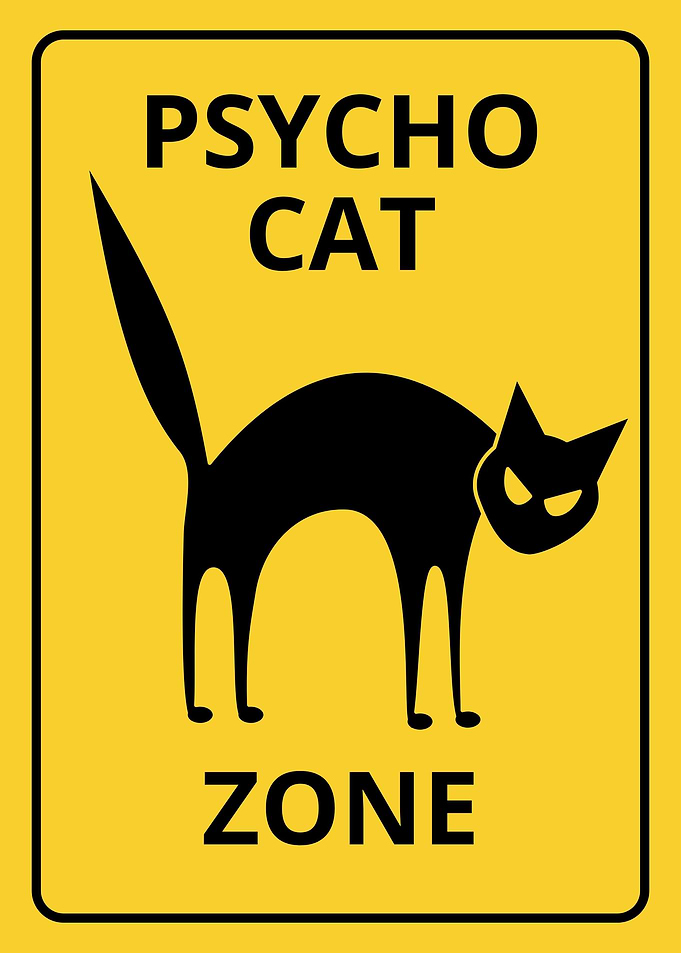 Psycho Cat zone