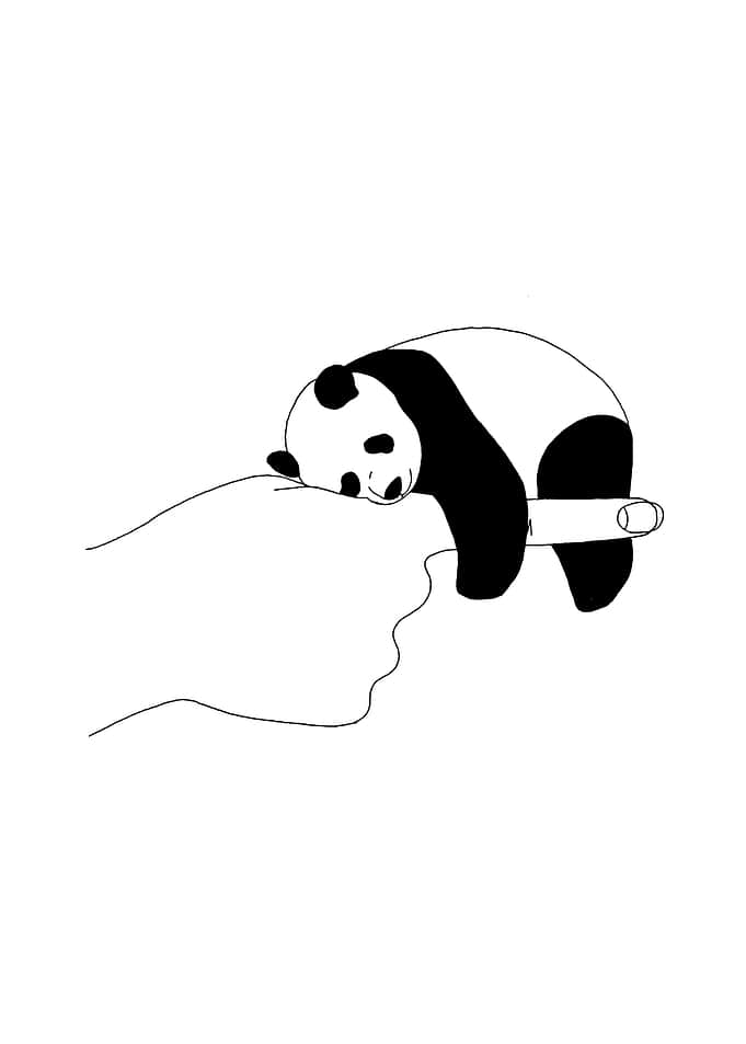 Cute animal