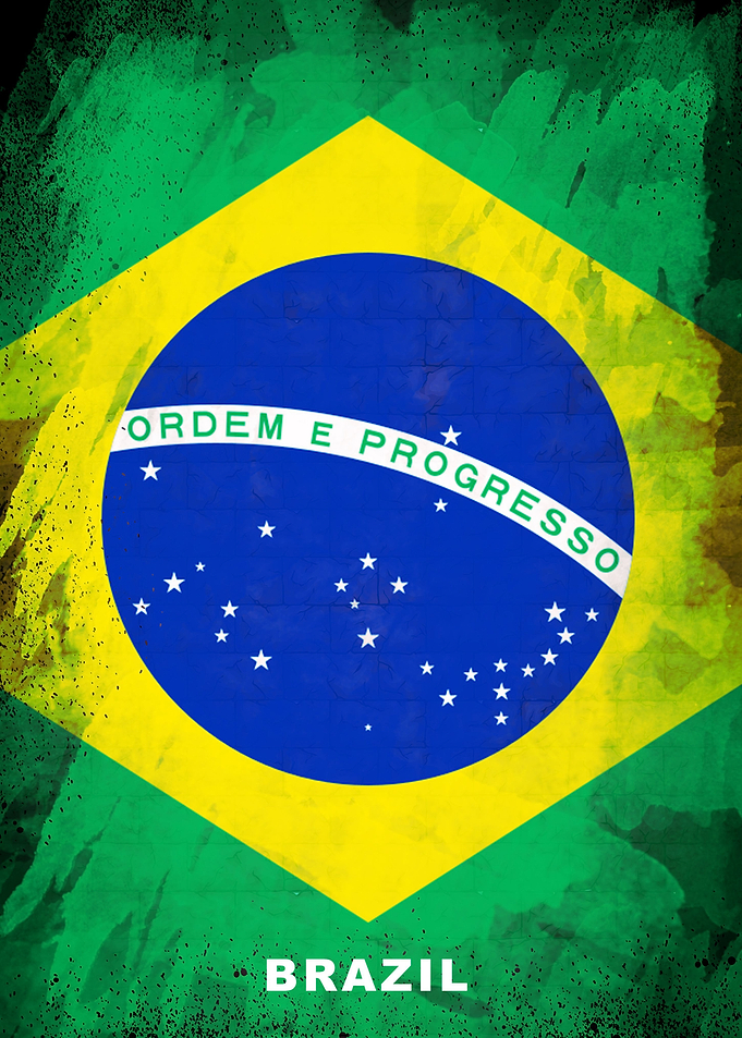 BRAZIL FLAG