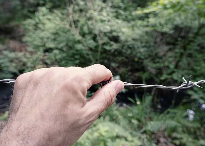 Hand barbed wire nature bl