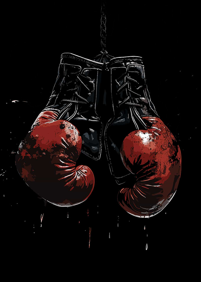 Boxing Gloves