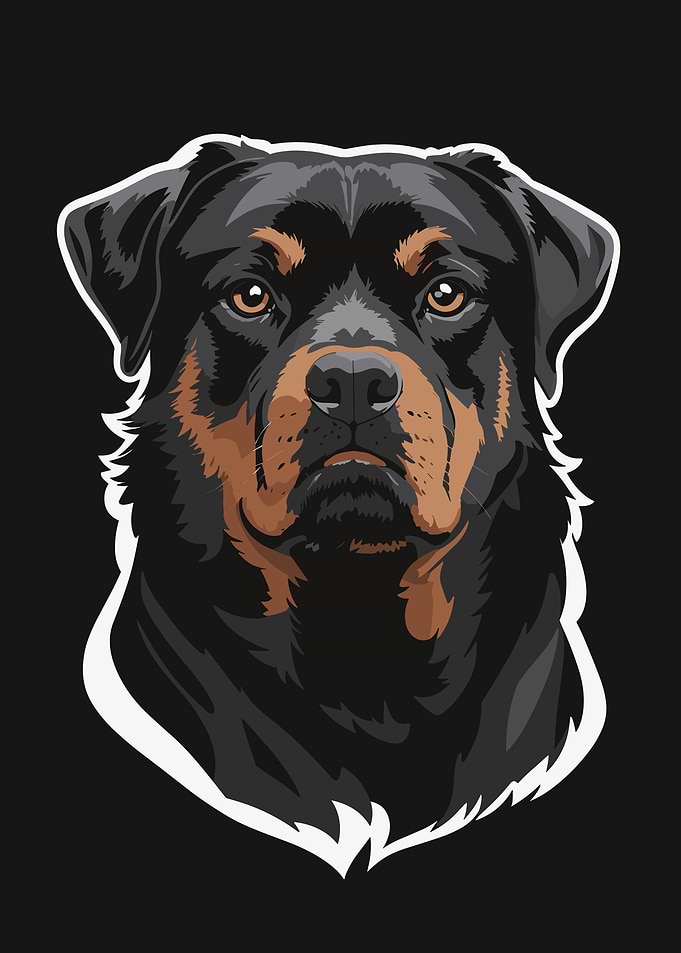 Rottweiler