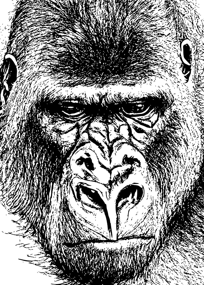 King Kong