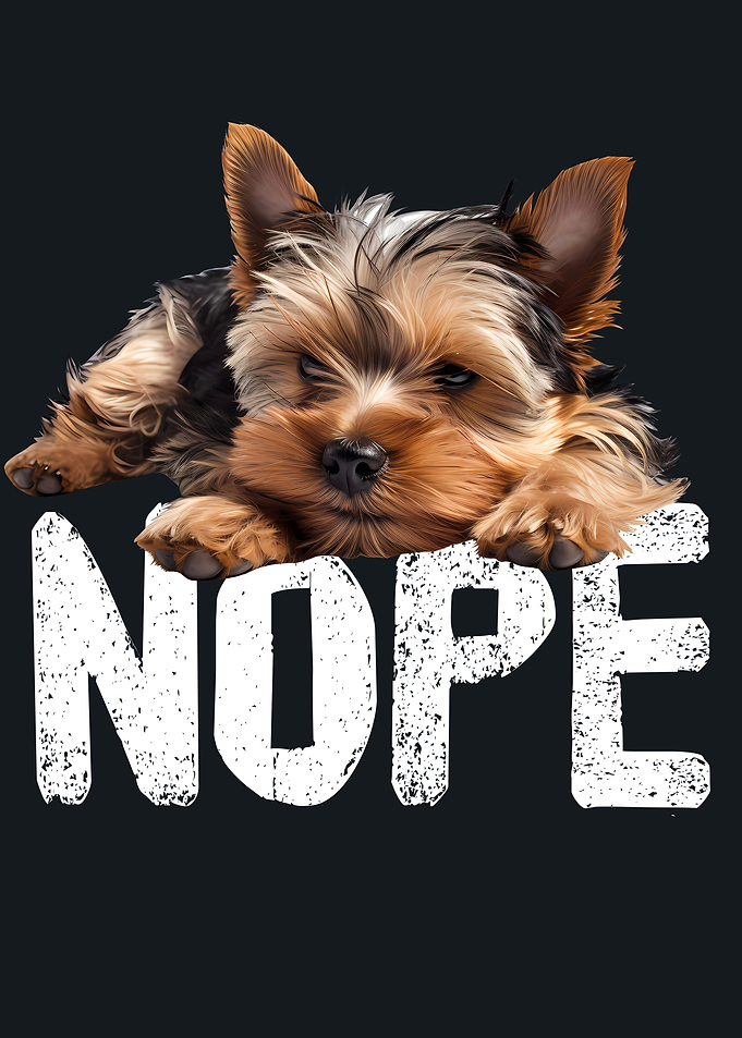 Yorkshire Terrier Nope