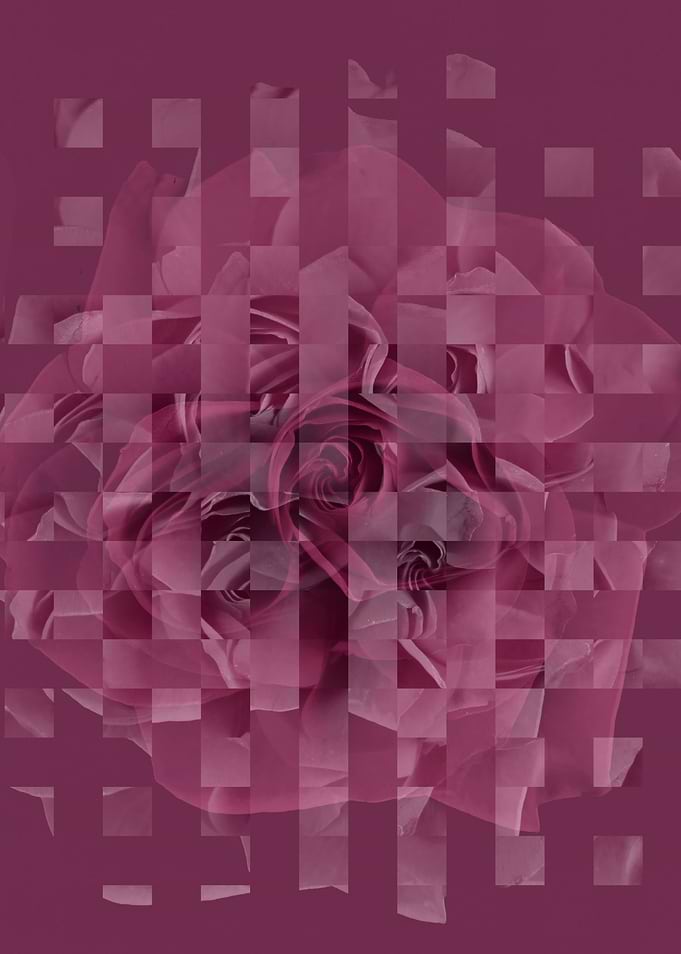 Pixel rose