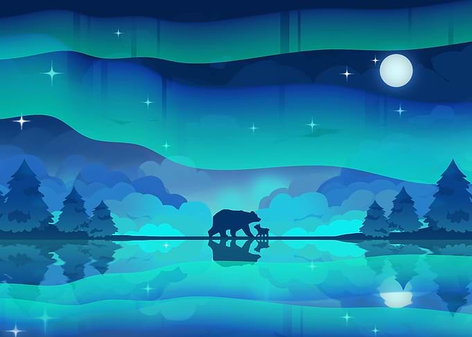 Borealis bear
