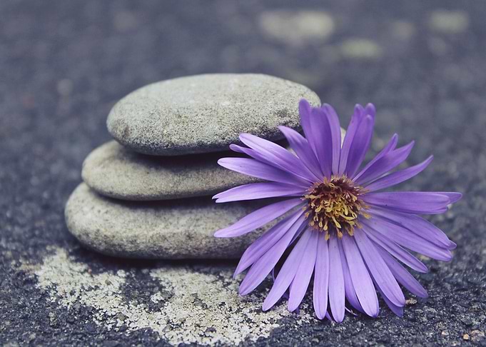 stone and flower